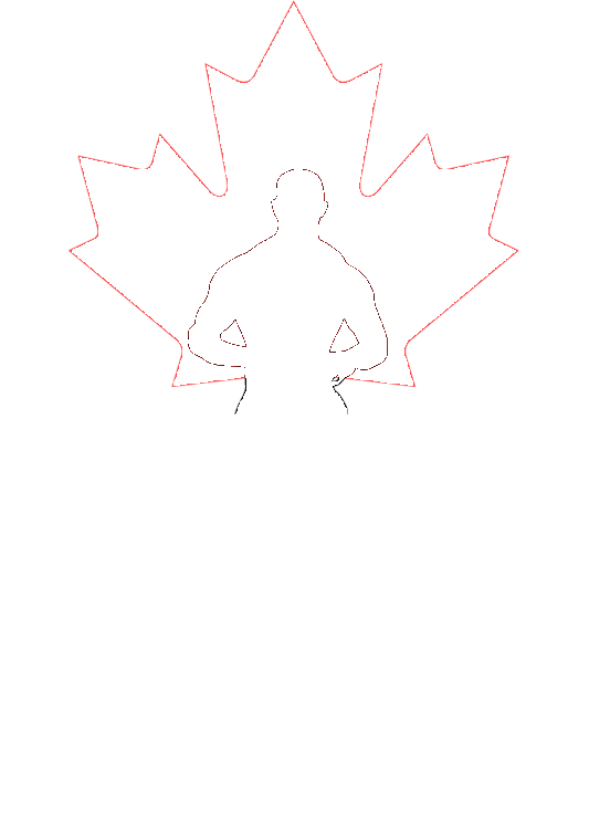 Sach In Motion